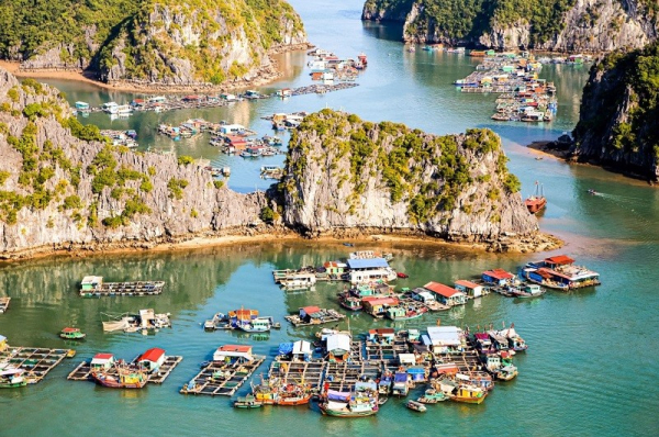 Croisière Ruby 4 étoiles  – Découvrez le confort et l’élégance – 3 jours 2 nuits – Baie d’Halong et baie de Lanha – Image 17