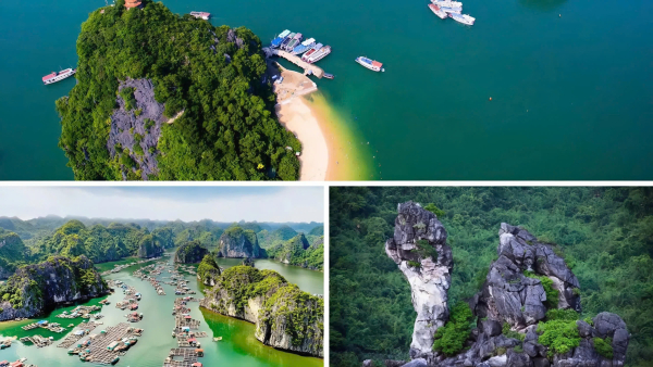 Croisière RUBY  – Laissez-vous tenter par le luxe 4 étoiles – 2 jours 1 nuit – Baie d’Halong – Image 15